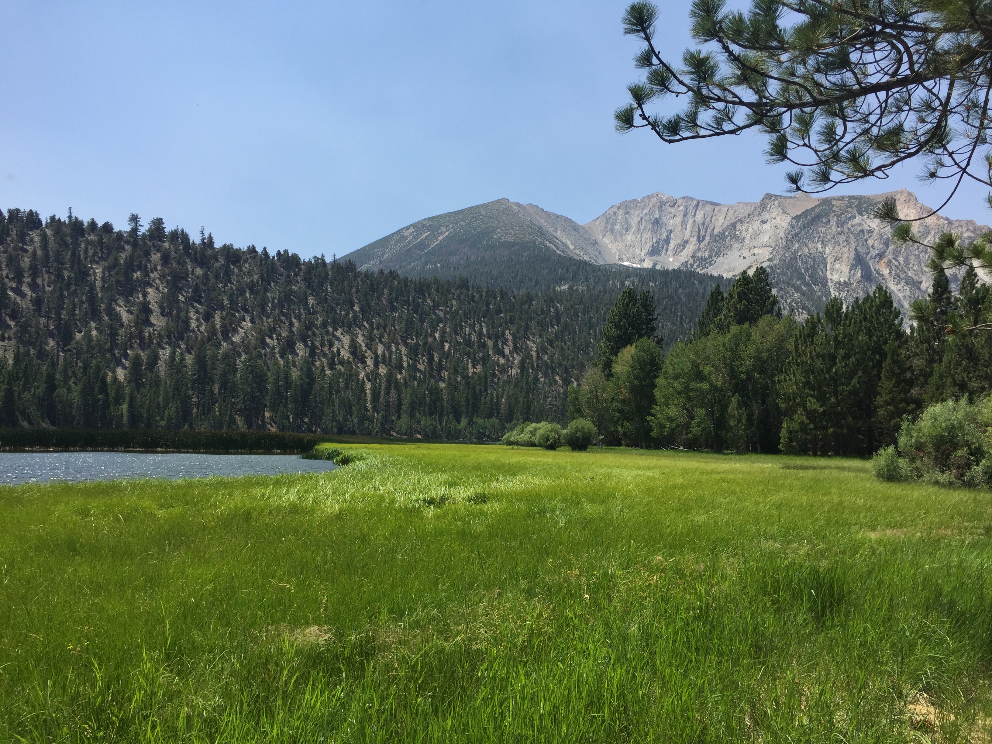 Picture near Mammoth, CA